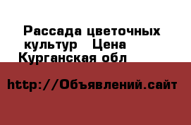 Рассада цветочных культур › Цена ­ 15 - Курганская обл.  »    